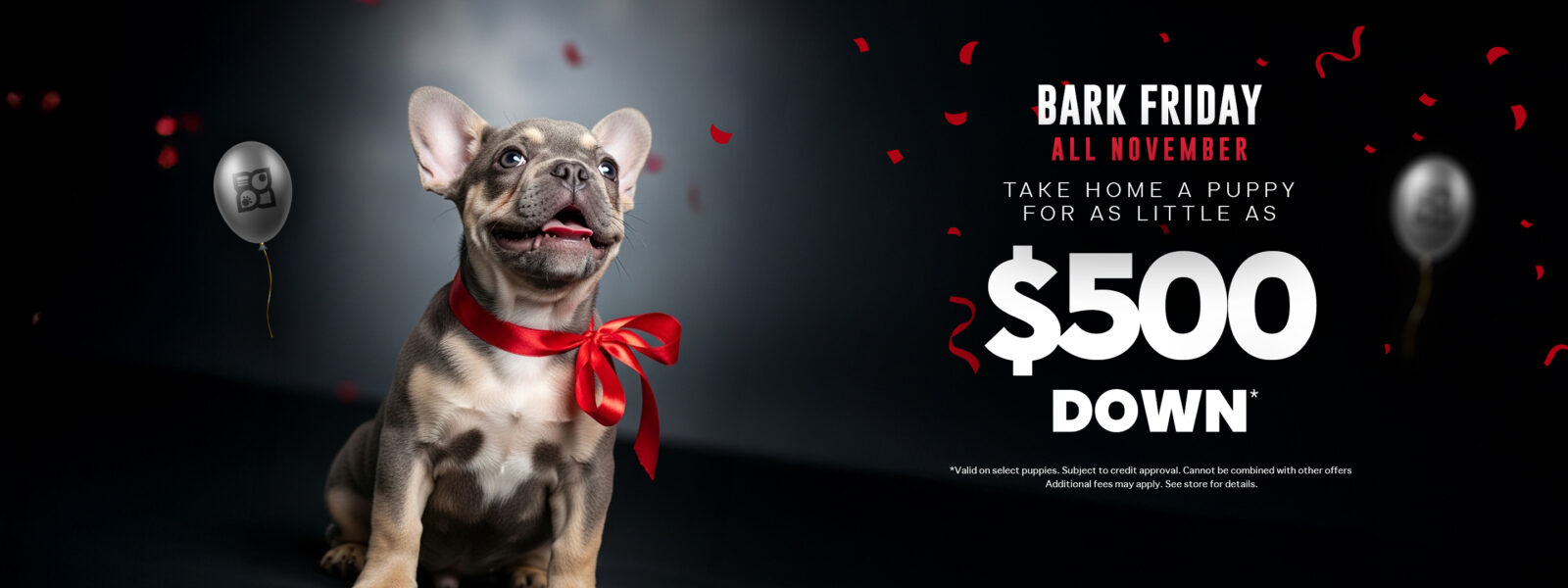 Cock A Poo 2nd Gen Banner