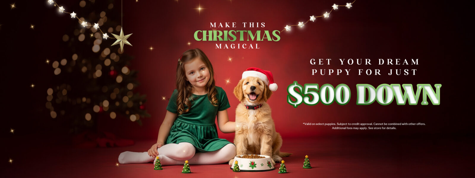 Available Pets Banner