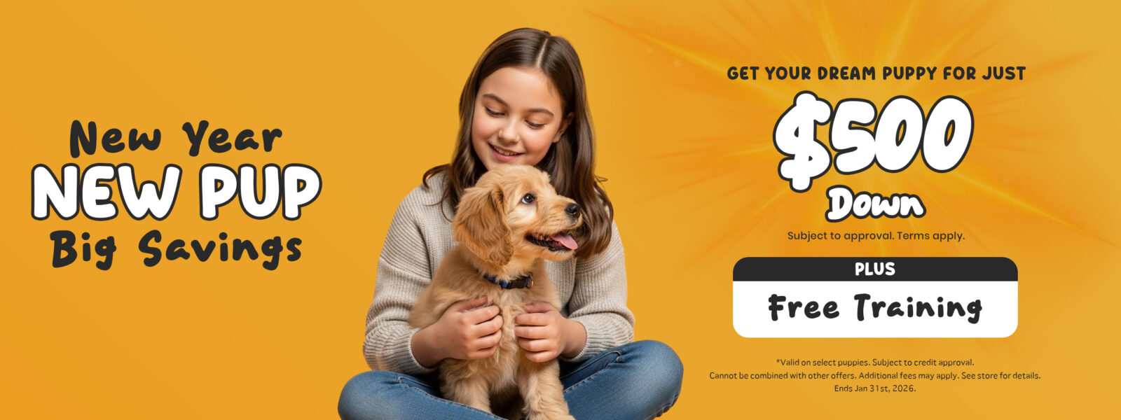 Australian Shepherd Banner