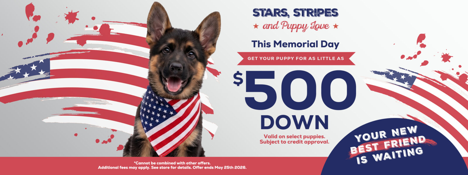 Available Pets Banner