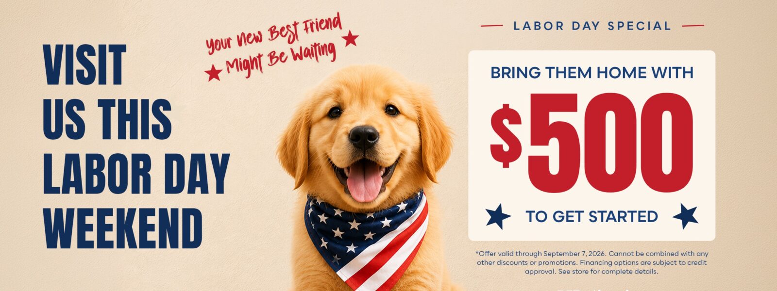 Puppies for Sale Banner
